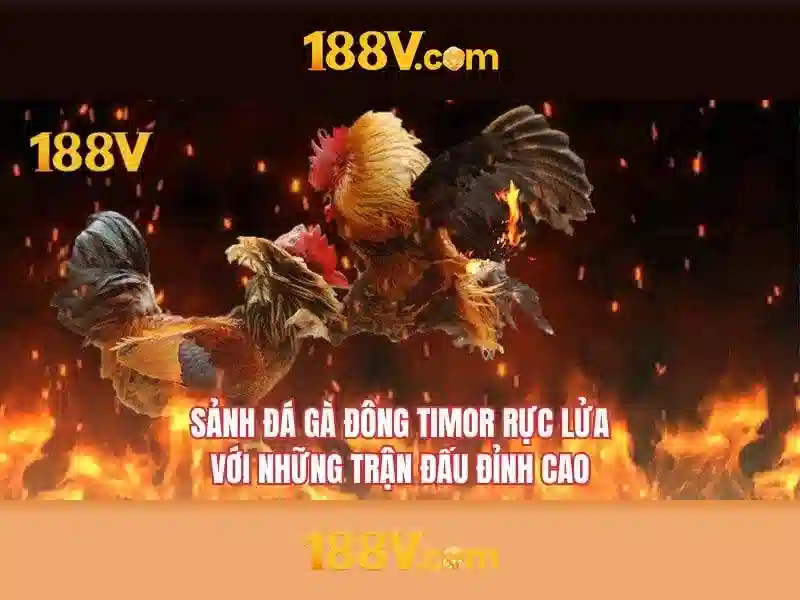 Nguồn gốc và ý nghĩa