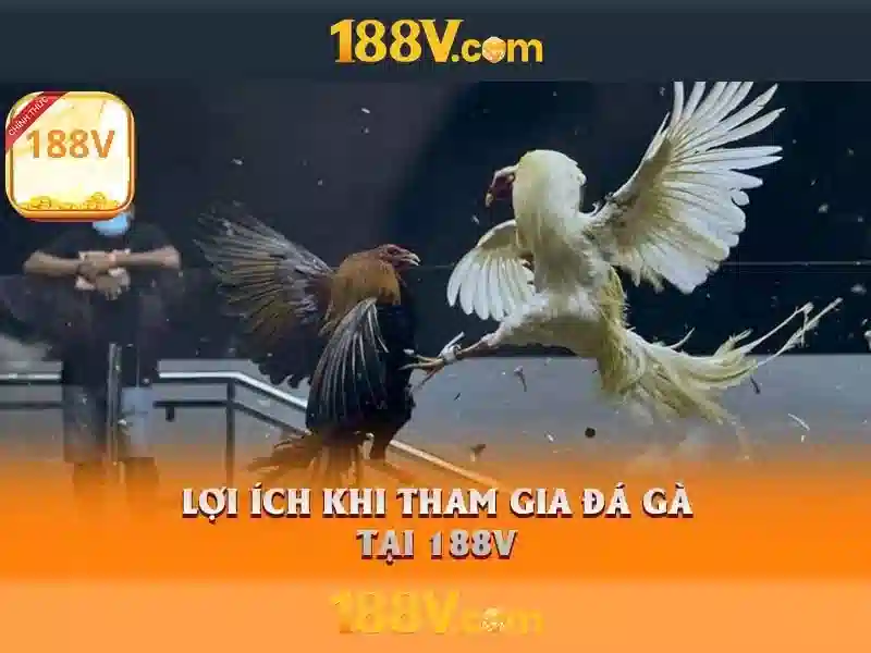 Nguồn gốc và ý nghĩa