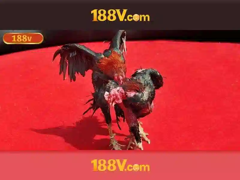 Giới thiệu về 188v
