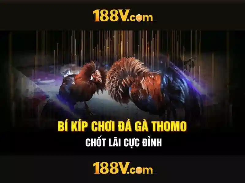 Ứng dụng thực tế và thách thức