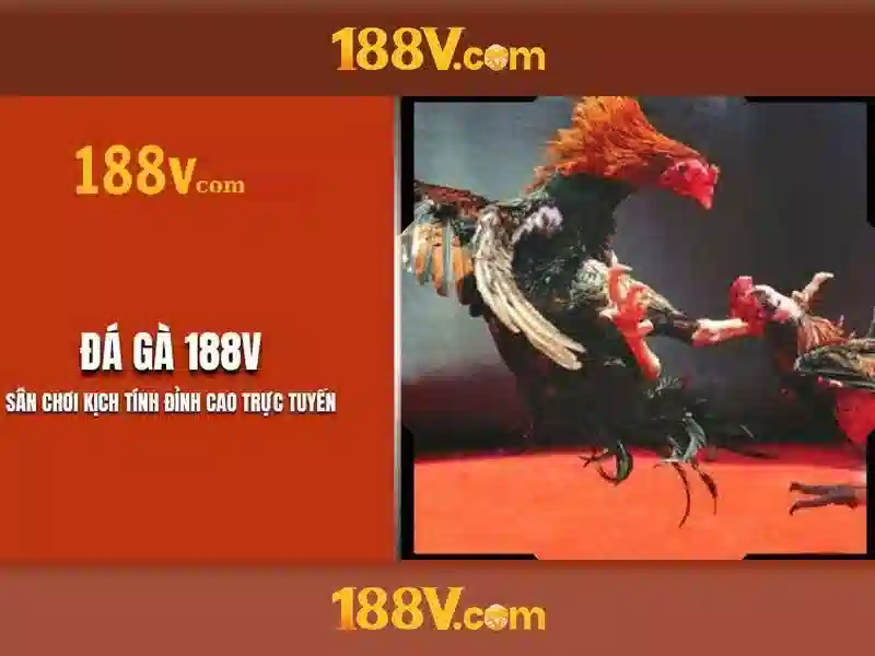 Khám phá 188V: một khái niệm hiện đại