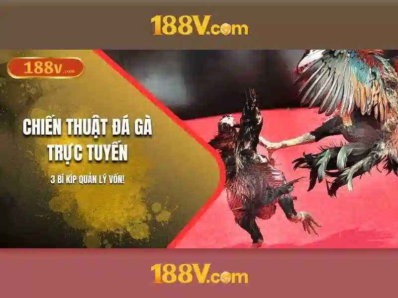 Giới thiệu về 188v