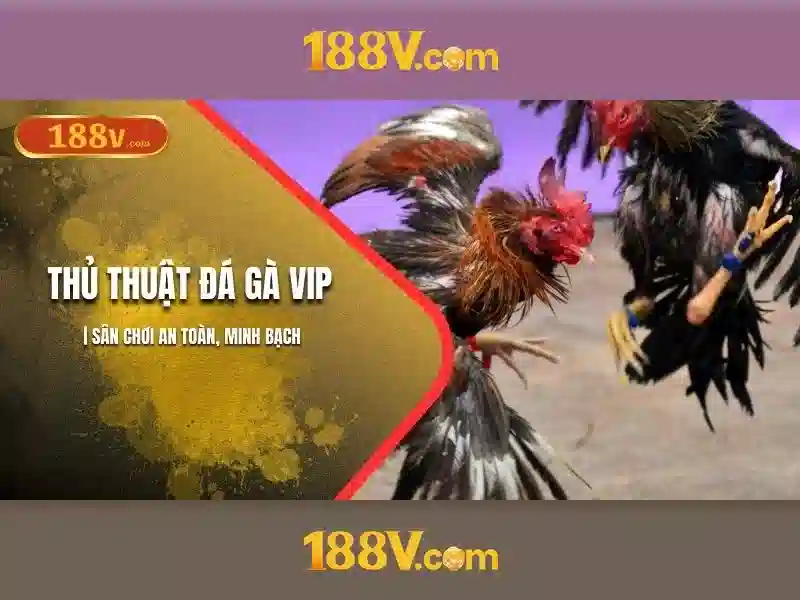 Giới thiệu về 188v