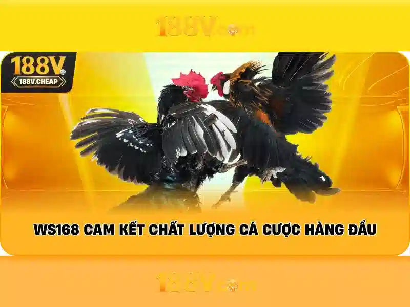 Khám phá 188v qua hình thức số hoá
