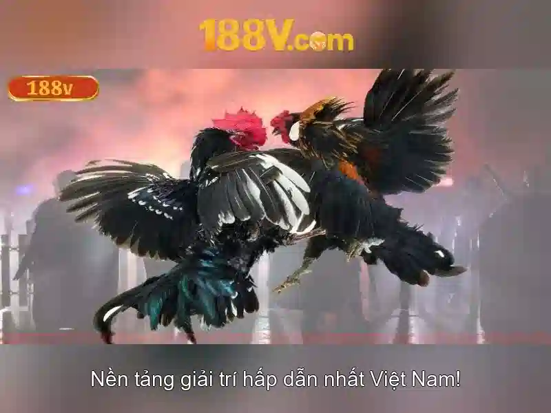 Nguồn gốc và ý nghĩa