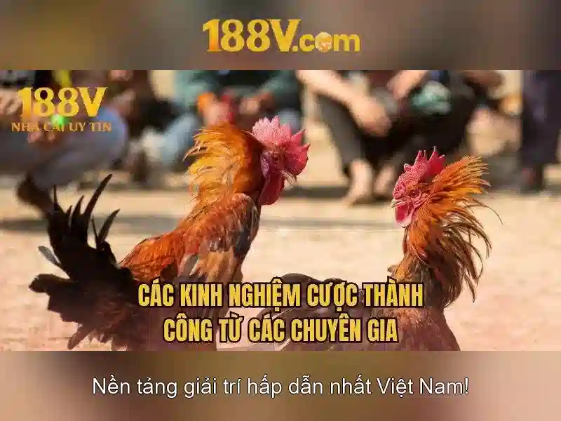 Nguồn gốc và tiêu chuẩn 188v