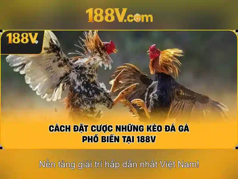 Khái niệm về 188V