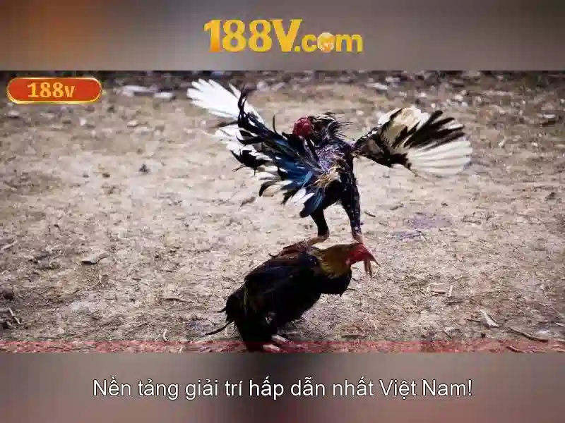 Khởi nguồn của 188v