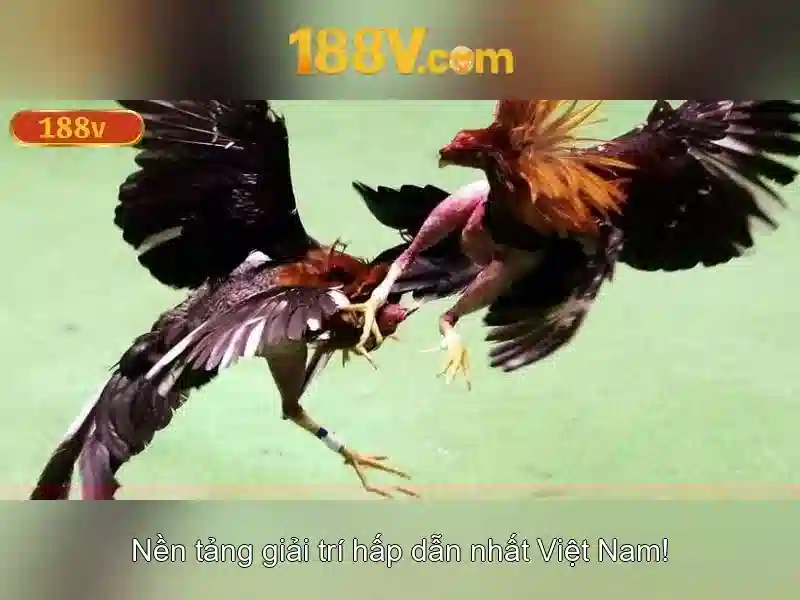 Khía cạnh kỹ thuật